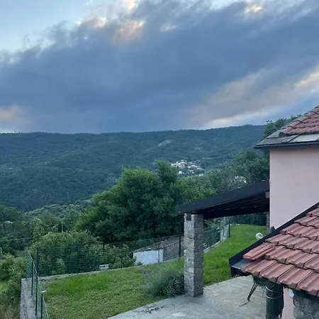 Relax Tra Gli Ulivi Дом отдыха