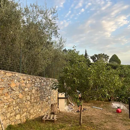 Relax Tra Gli Ulivi Feriehus Onzo